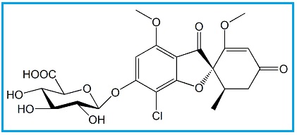 Griseofulvin 6-O-Demethyl Glucuronide